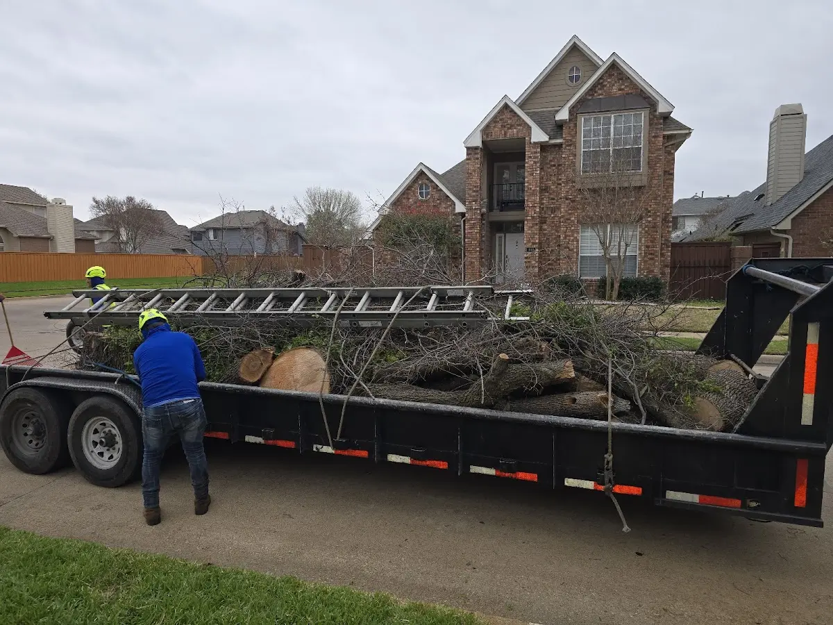 Expert Crown Reduction with proper safety equipment in Ridgeville